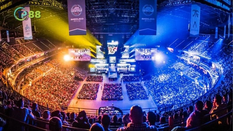 ca-cuoc-esports