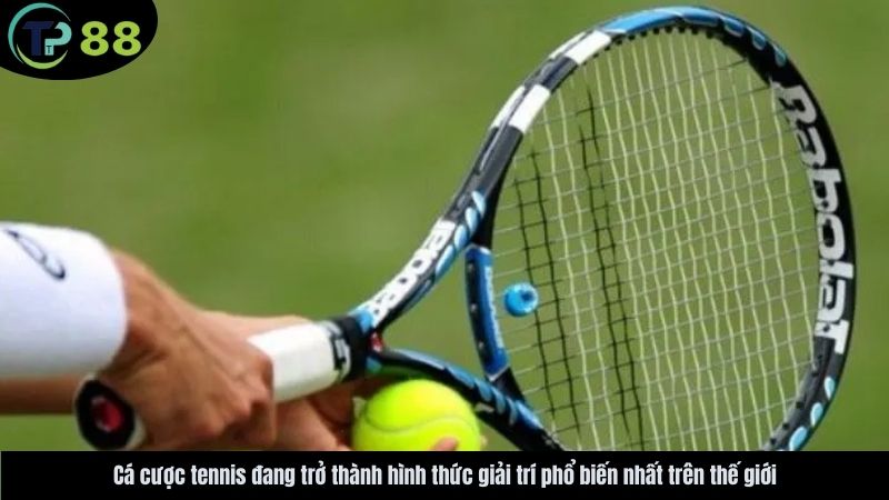 ca-cuoc-tennis