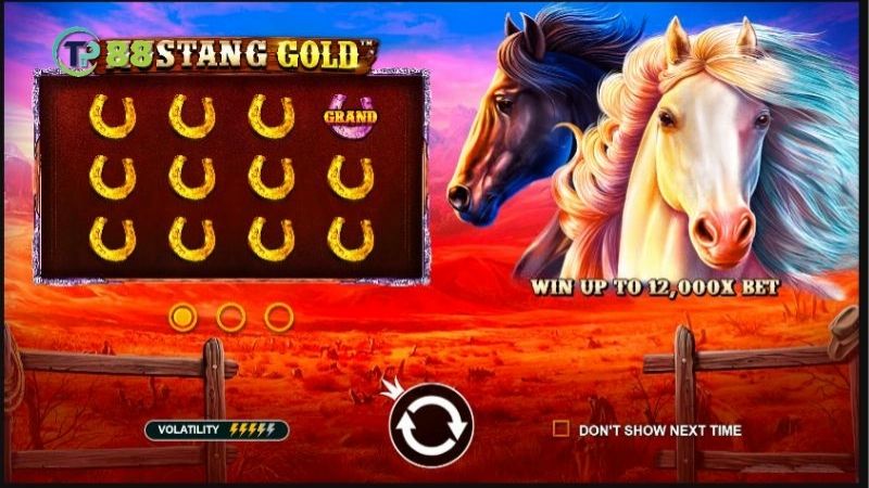 no-hu-mustang-gold