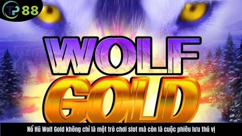no-hu-wolf-gold