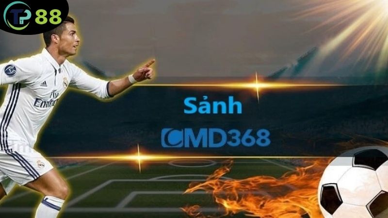 Sảnh Thể Thao CMD368 - Điểm Đến Hàng Đầu Của Người Yêu Cược 7 sanh-the-thao-cmd368-3
