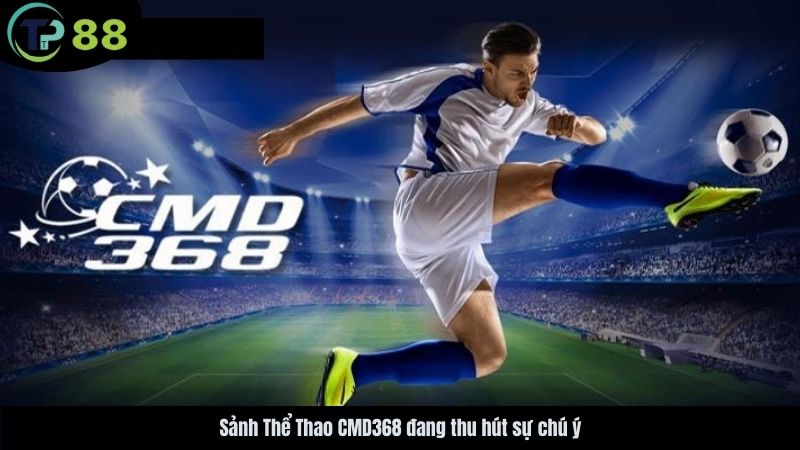 sanh-the-thao-cmd368