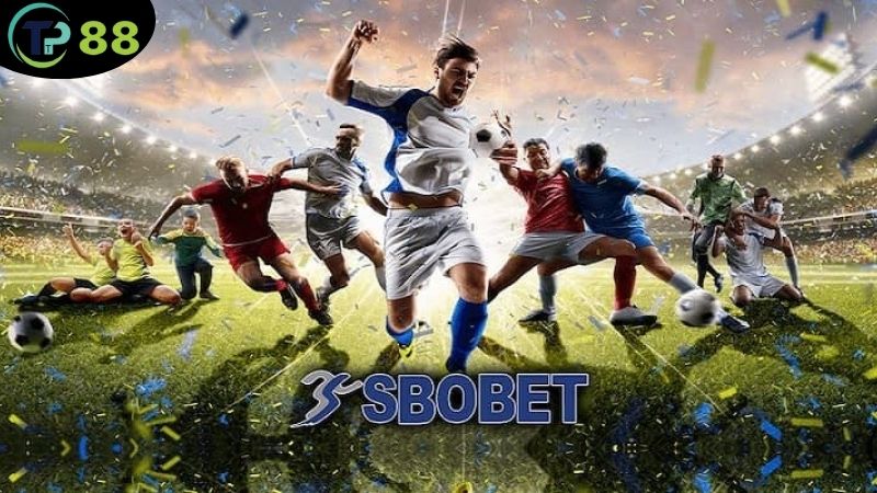 Sảnh Thể Thao SBOBET - Nơi Kết Nối Đam Mê Và Cơ Hội Cá Cược 6 sanh-the-thao-sbobet-2