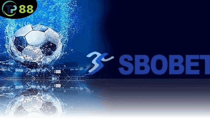 Sảnh Thể Thao SBOBET - Nơi Kết Nối Đam Mê Và Cơ Hội Cá Cược 7 sanh-the-thao-sbobet-3