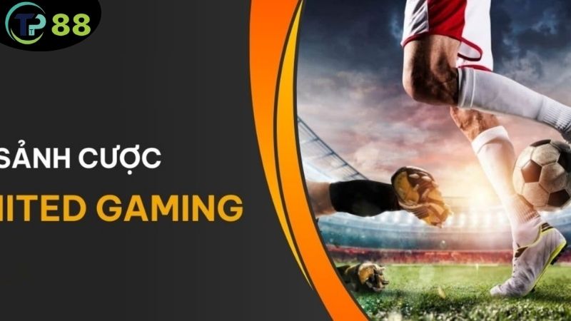 Sảnh Thể Thao United Gaming - Nền Tảng Cá Cược Đỉnh Cao 5 sanh-the-thao-united-gaming-1